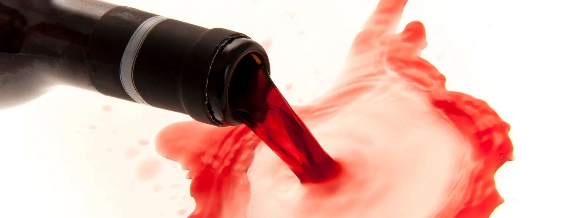 CannaWine.webp