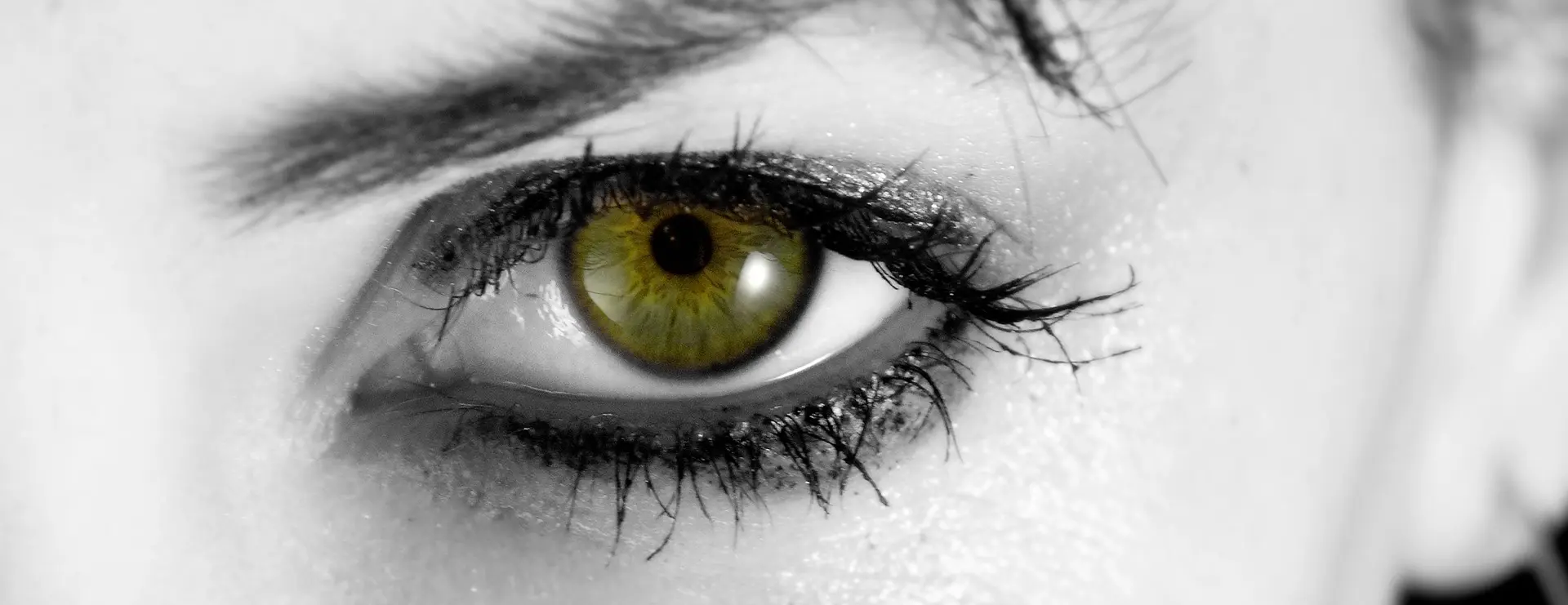 Ojo Sara.webp
